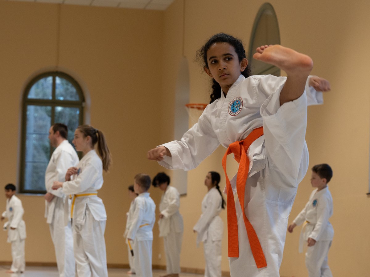 Karateka im Dojo — Shin, Gi, Tai